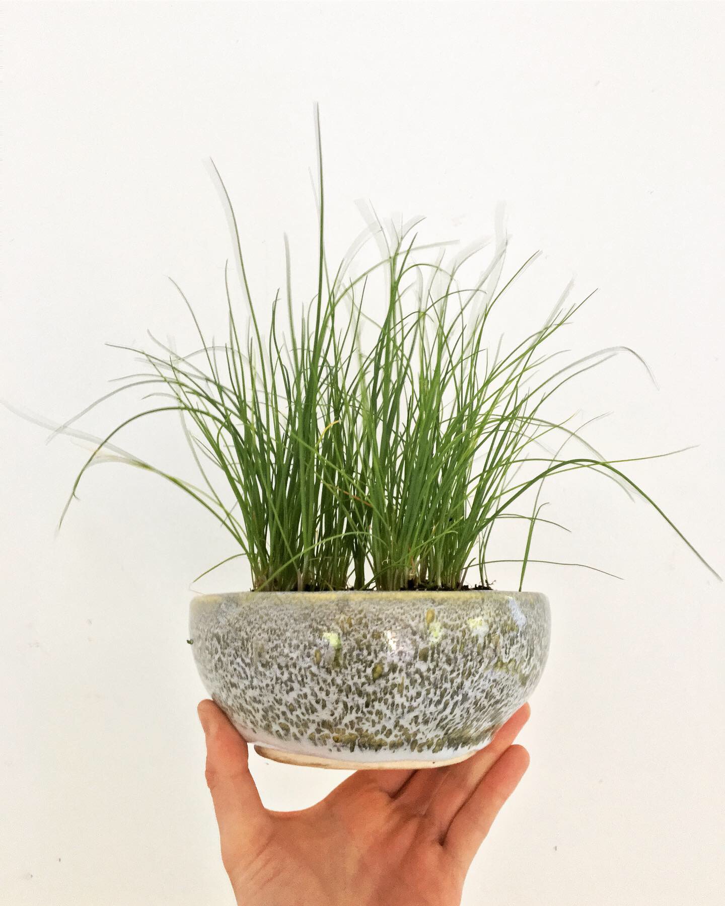 Chives ceramic piece