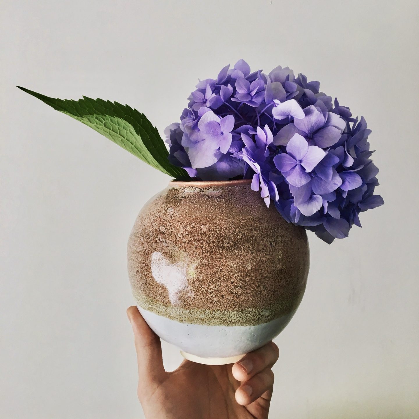 Purple hydrangea in a two-tone round vase