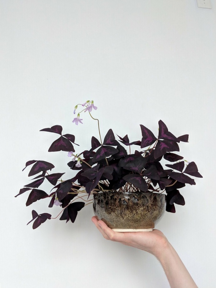 Ceramic
